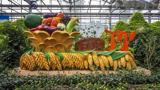 吉林出台碳普惠建设方案 全民低碳行动助力绿色振兴