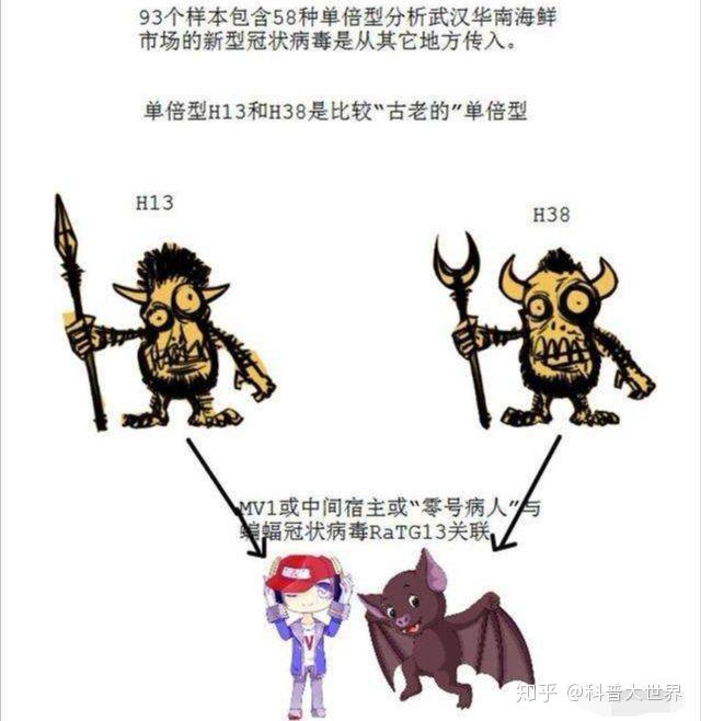科普｜安第斯病毒：可人际传播的汉坦病毒“家族”成员